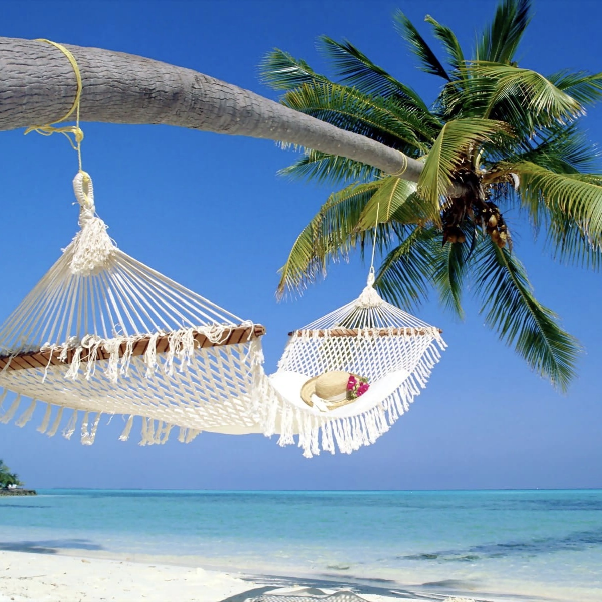 Andaman Favia - Luxury Andaman Tours