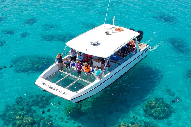 Glass Bottom Boat Ride