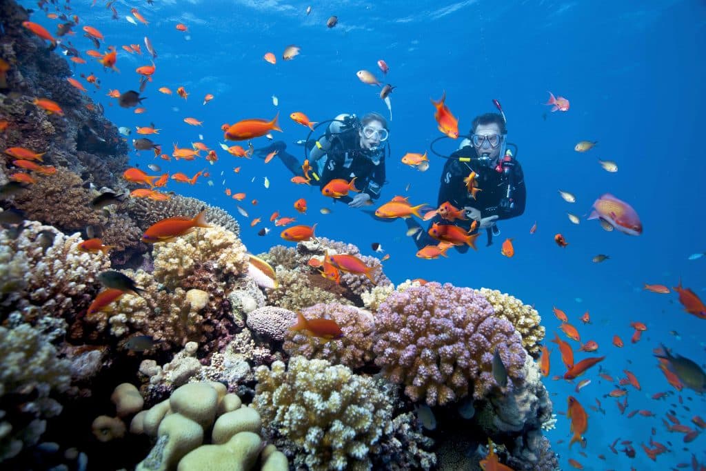 Scuba Diving