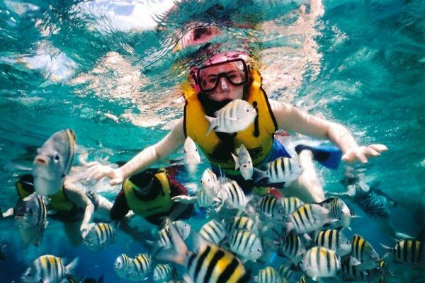 Snorkeling