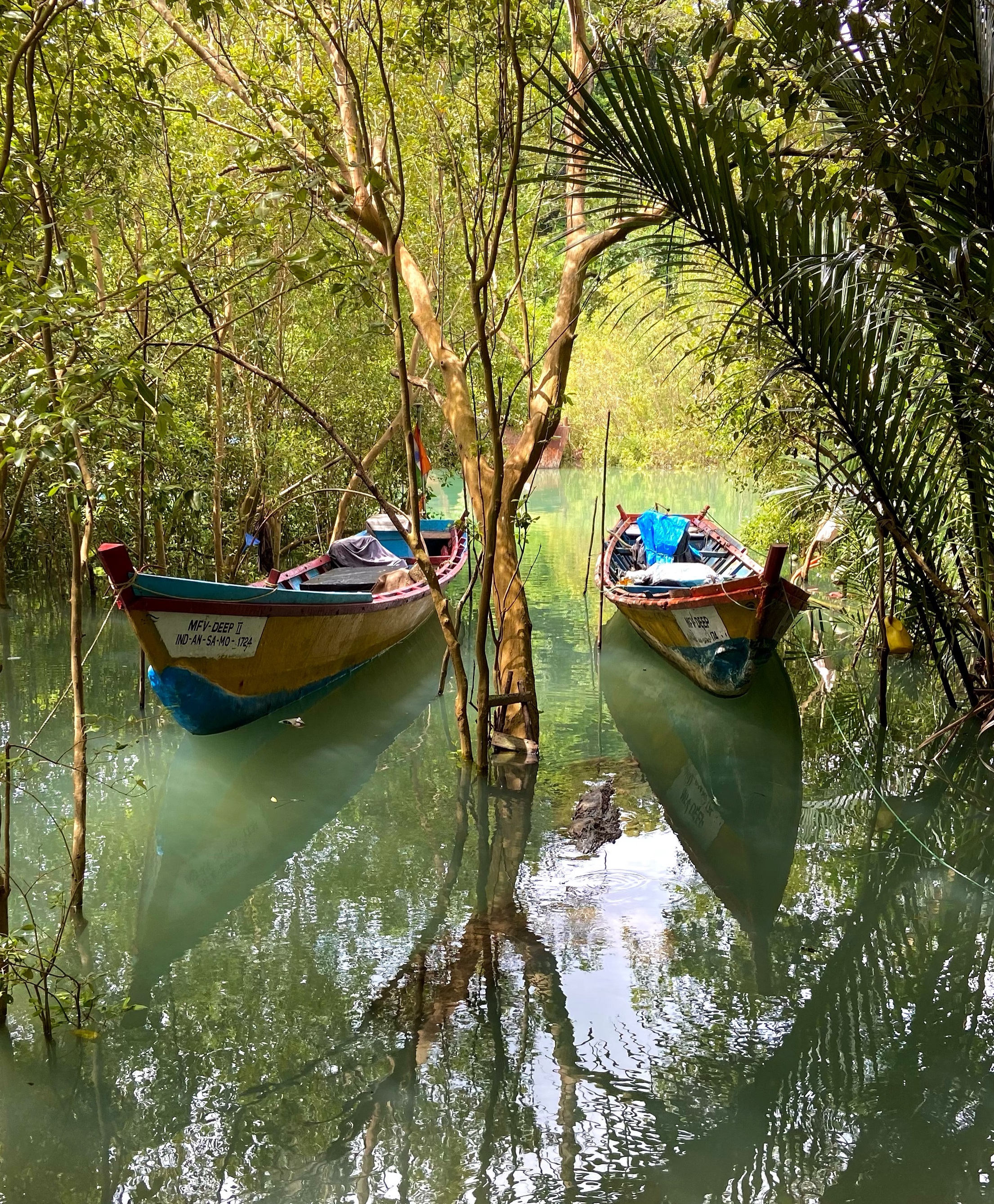 Baratang Island Andaman