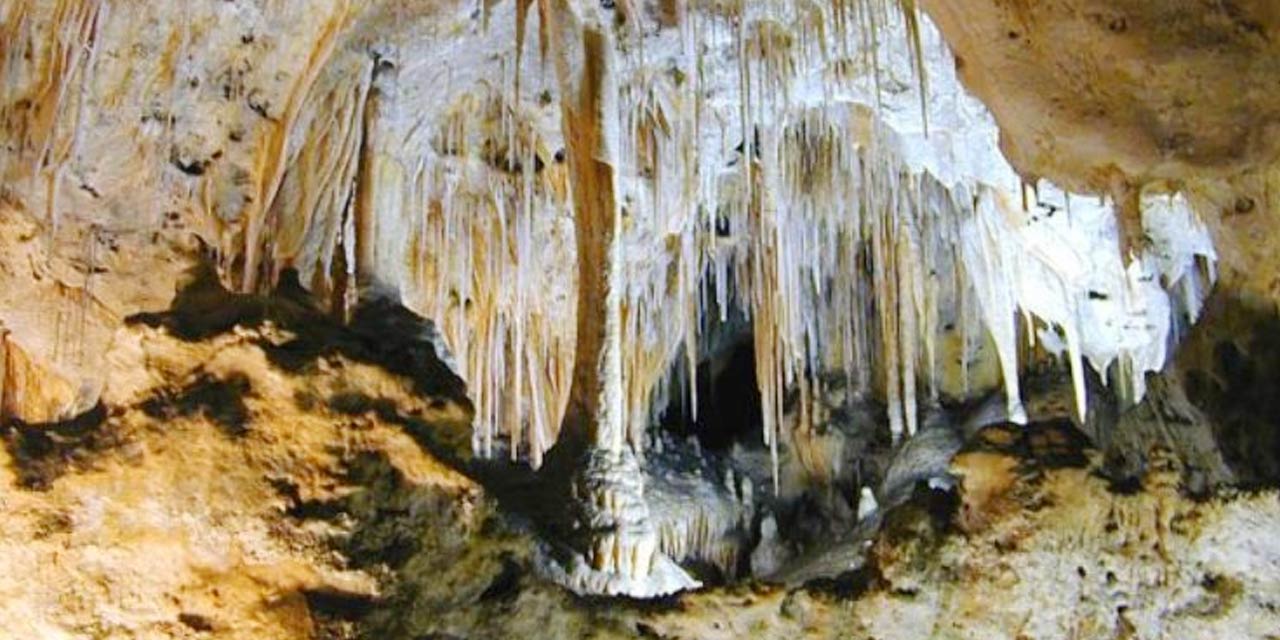 Baratang Island Andaman 1