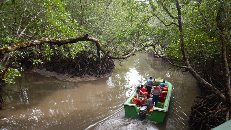 Baratang Island Andaman 2
