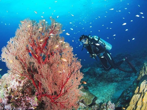 Shaheed Dweep (Neil Island) Andaman 1