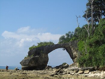 Shaheed Dweep (Neil Island) Andaman 2