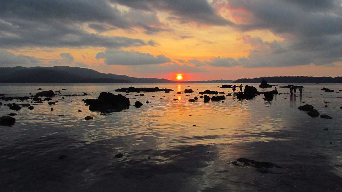 Chidiya Tapu Andaman